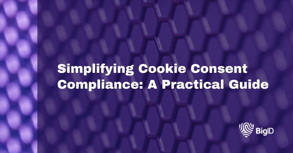BigID Cookie Compliance Guide