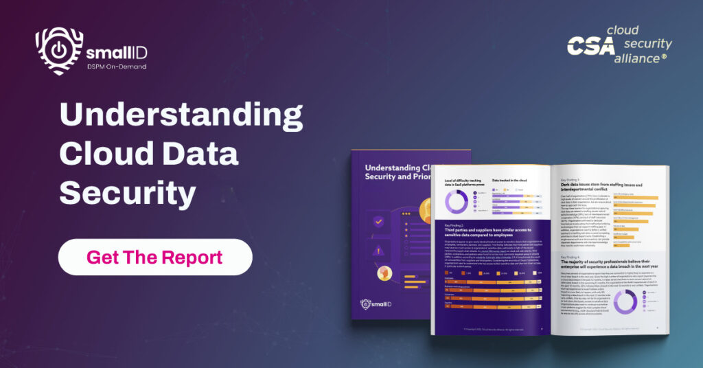Download Our Cloud Data Security Report