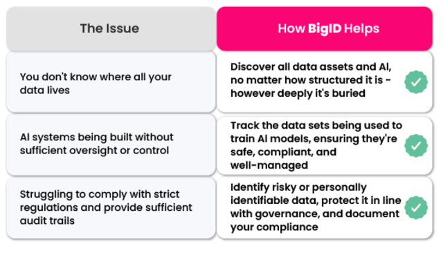 How BigID helps you organize your data