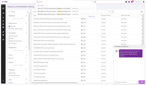 BigID Registry and Metadata Catalog UI Image